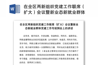 在全区两新组织党建工作联席（扩大）会议暨新业态新就业群体党建工作专班例会上的讲话