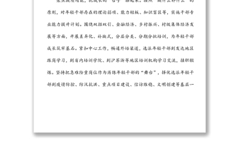 组织部长谈年轻干部培养机制