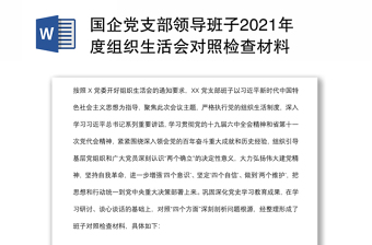 国企党支部领导班子2021年度组织生活会对照检查材料