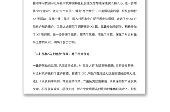 乡村振兴驻村工作队员2021年工作总结