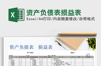 资产负债表损益表