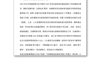 公司2022年党支部标准化建设工作总结