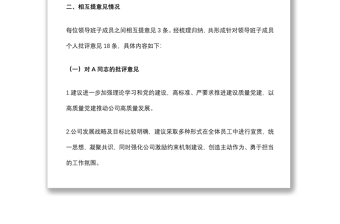 某党支部领导班子相互提意见报告
