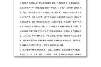 数字乡村改革工作汇报