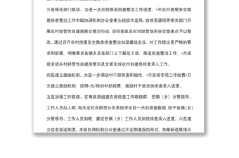 市农房安全隐患排查整治工作总结