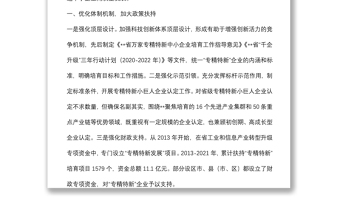 在全省专精特新“小巨人”企业培育工作阶段总结会议上的讲话