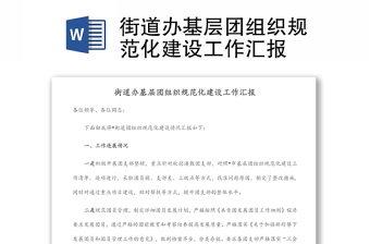 街道办基层团组织规范化建设工作汇报