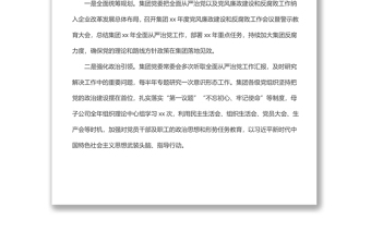 集团党委202x年主体责任落实情况报告