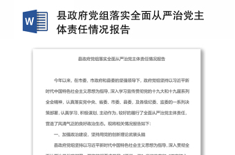 县政府党组落实全面从严治党主体责任情况报告