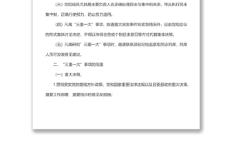 自治县财政局”三重一大”决策制度（试行）