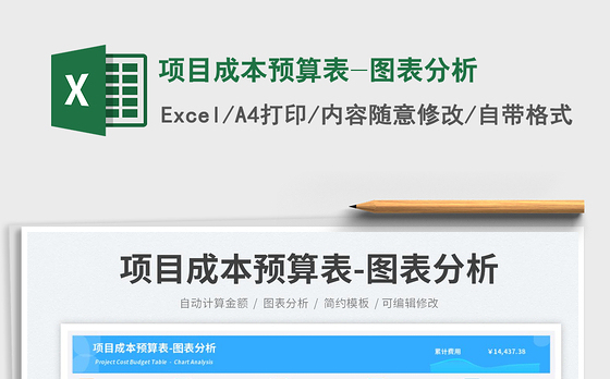 项目成本预算表-图表分析