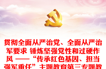 2023全面从严治党检查清单指引