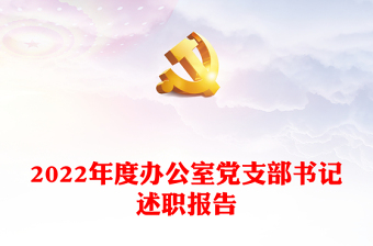 2022年度办公室党支部书记述职报告