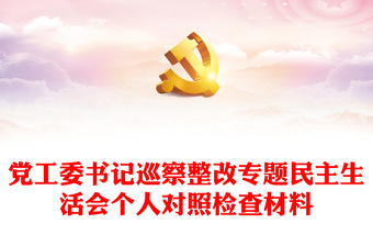 党工委书记巡察整改专题民主生活会个人对照检查材料