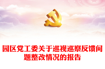 园区党工委关于巡视巡察反馈问题整改情况的报告