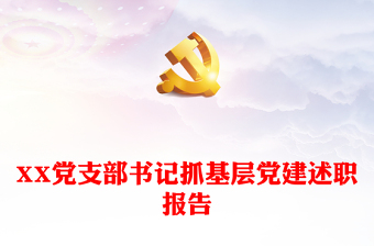 XX党支部书记抓基层党建述职报告