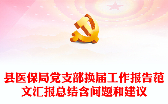 县医保局党支部换届工作报告范文汇报总结含问题和建议