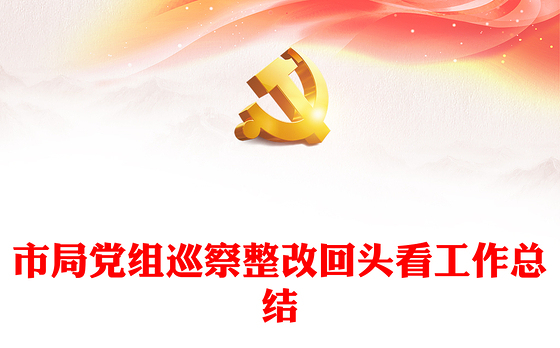 市局党组巡察整改回头看工作总结