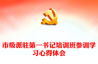 市级派驻第一书记培训班参训学习心得体会