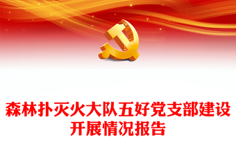 森林扑灭火大队五好党支部建设开展情况报告