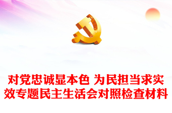 对党忠诚显本色 为民担当求实效专题民主生活会对照检查材料