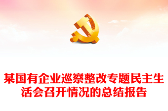 某国有企业巡察整改专题民主生活会召开情况的总结报告