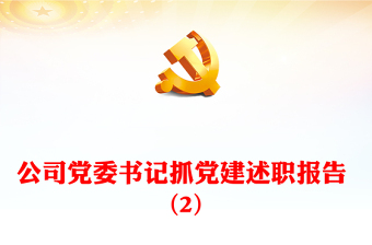 公司党委书记抓党建述职报告 (2)