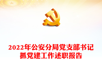 2022年公安分局党支部书记抓党建工作述职报告