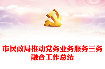 市民政局推动党务业务服务三务融合工作总结
