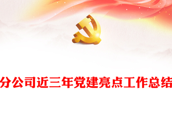 分公司近三年党建亮点工作总结