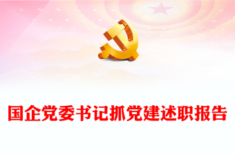 国企党委书记抓党建述职报告