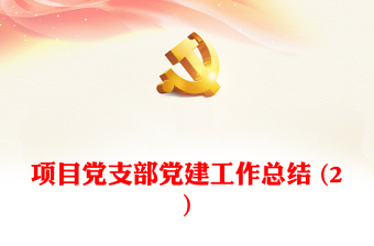 项目党支部党建工作总结 (2)