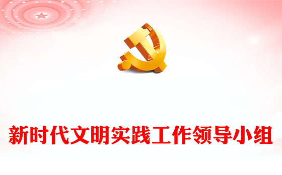 新时代文明实践工作领导小组