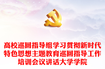 高校巡回指导组学习贯彻新时代特色思想主题教育巡回指导工作培训会议讲话大学学院