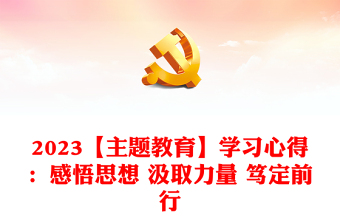 2023【主题教育】学习心得：感悟思想 汲取力量 笃定前行