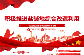 2023积极推进盐碱地综合改造利用ppt红色简洁风着力夯实国家粮食安全的资源基础党组织党支部专题党课教育课件