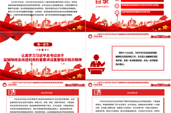 2023积极推进盐碱地综合改造利用ppt红色简洁风着力夯实国家粮食安全的资源基础党组织党支部专题党课教育课件