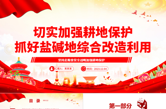 2023切实加强耕地保护抓好盐碱地综合改造利用ppt大气精美坚持走粮食安全战略 加强耕地保护党组织专题党课教育课件