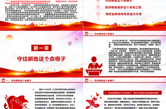 2023“像保护大熊猫一样保护耕地”ppt大气简洁耕地是保障国家粮食安全的根本党组织专题教育党课课件