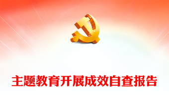 2023年主题教育开展成效自查报告PPT模板(讲稿)