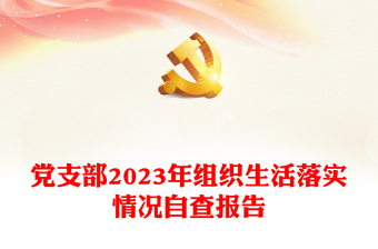 党支部2023年组织生活落实情况自查报告PPT模板(讲稿)