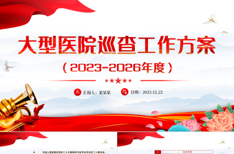 一文读懂大型医院巡查工作方案PPT大气简洁公立医院党建课件