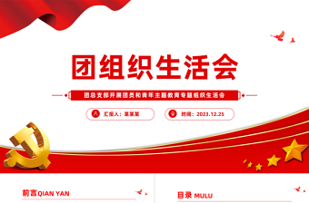 团组织生活会PPT党建风团支部主题教育组织生活会模板下载