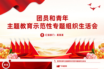 2023年度团员和青年主题教育示范性专题组织生活会PPT模板下载