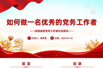 党务工作个人述职课件模板