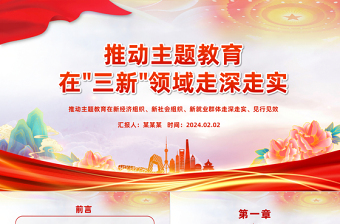 红色简洁三新领域主题教育经验做法PPT党课