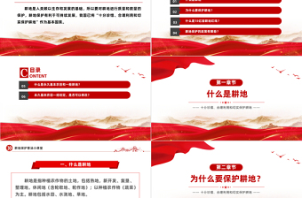 耕地保护普法PPT到党政风十分珍惜合理利用和切实保护耕地课件