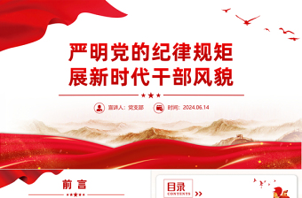 2024严明党的纪律规矩展新时代干部风貌PPT党政风党纪学习教育课件