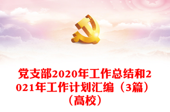 党支部2020年工作总结和2021年工作计划汇编（3篇）（高校）