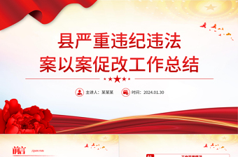 2023严重违纪违法案以案促改工作开展情况总结报告PPT下载